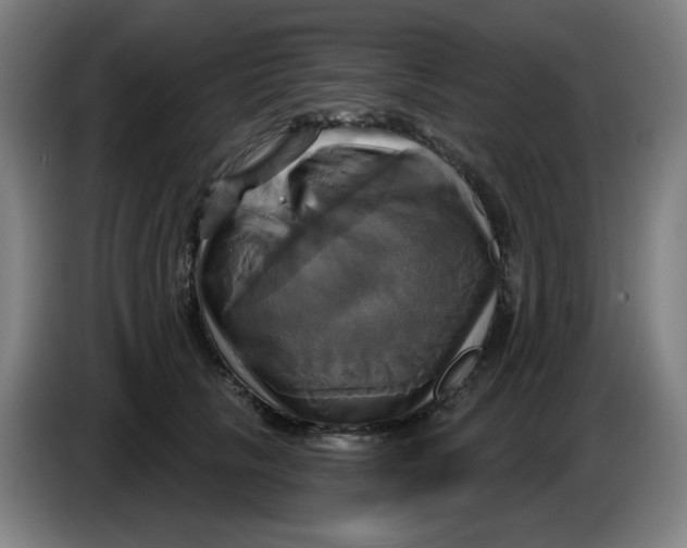 X0000086220657200704191739