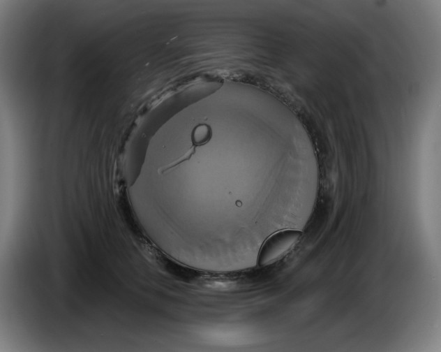 X0000086220658200704191739