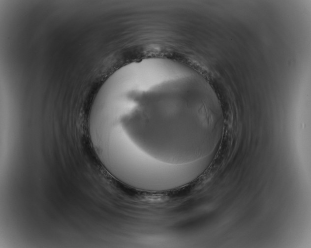 X0000086220659200704191739