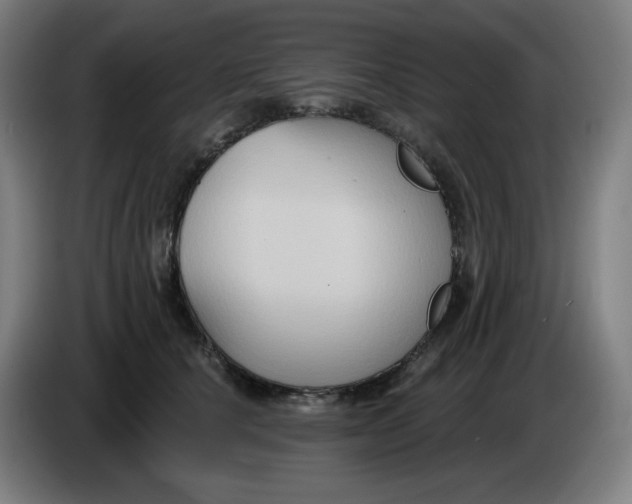 X0000086220660200704191739