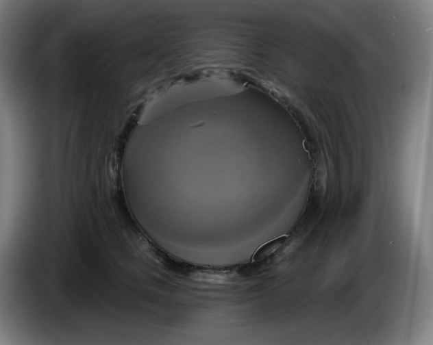 X0000086220661200704191739