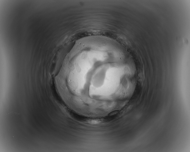 X0000086220662200704191739