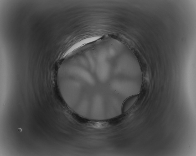 X0000086220663200704191739