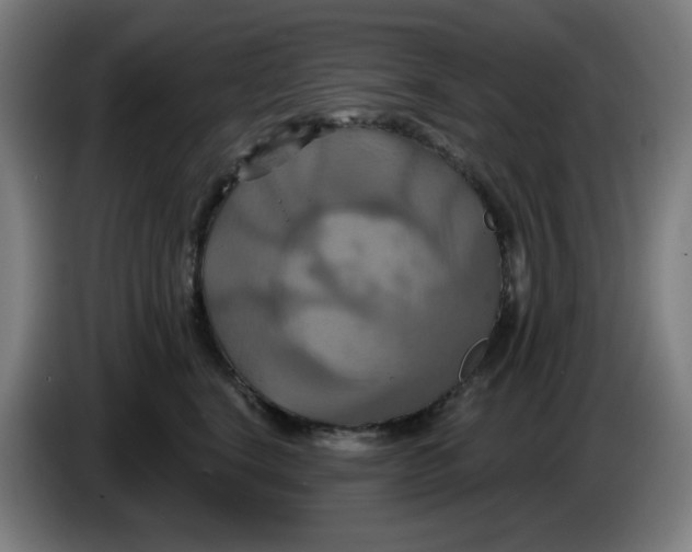 X0000086220664200704191739