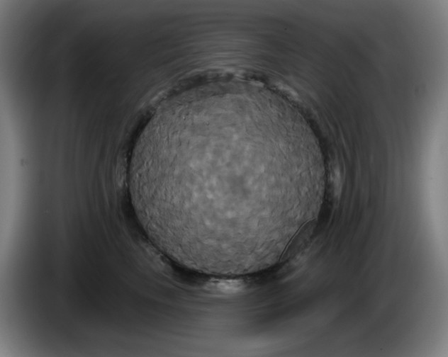 X0000086220665200704191739