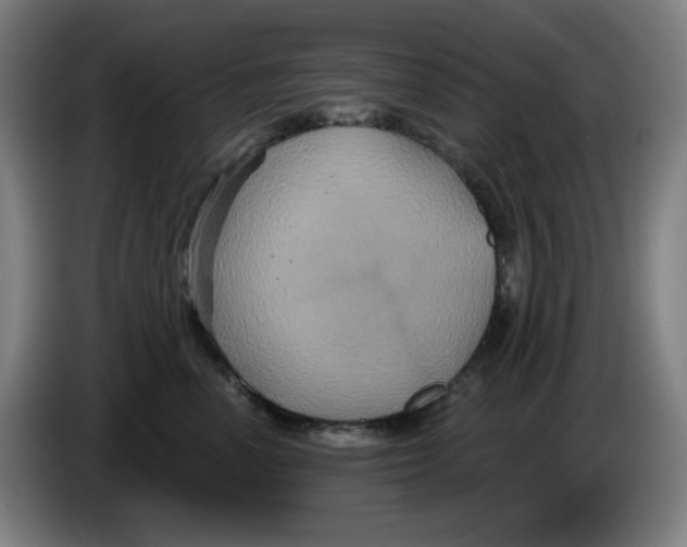 X0000086220666200704191739