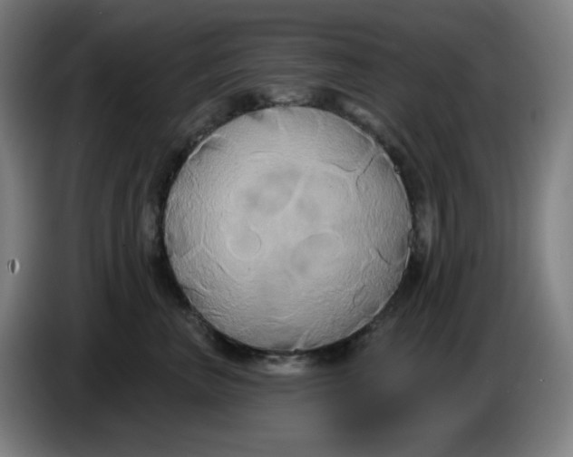 X0000086220667200704191739