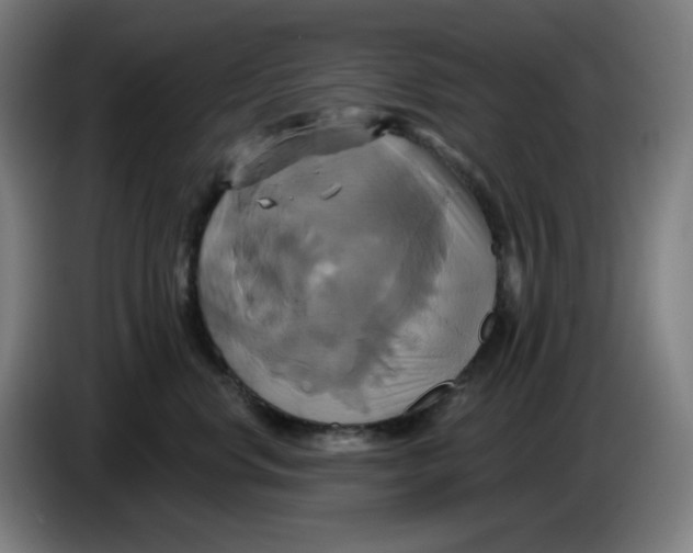 X0000086220668200704191739