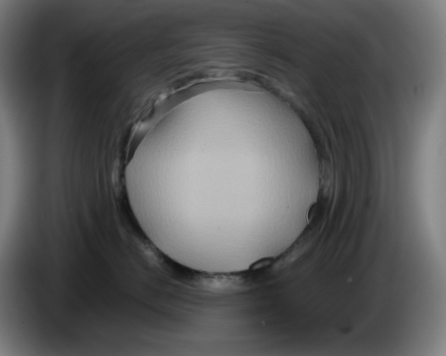 X0000086220670200704191739