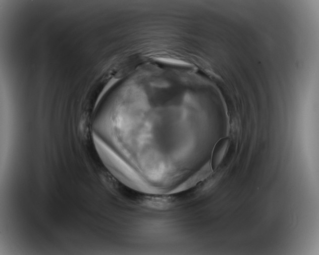 X0000086220671200704191739