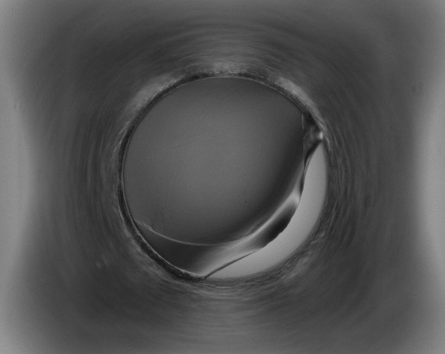 X0000086220673200704191739