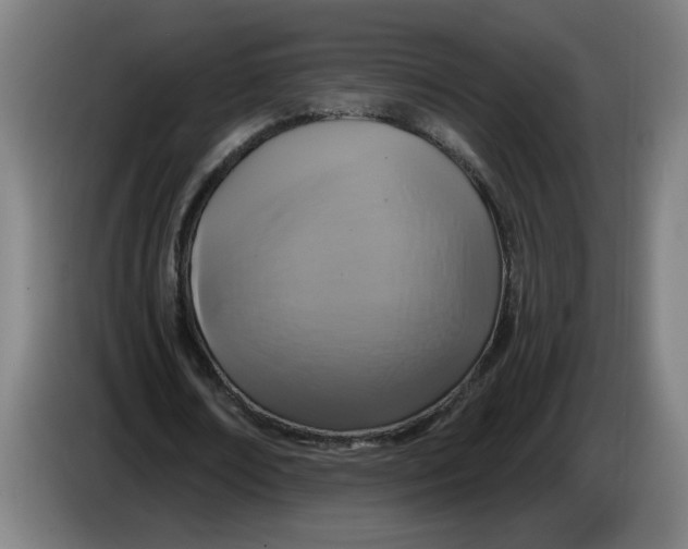 X0000086220674200704191739