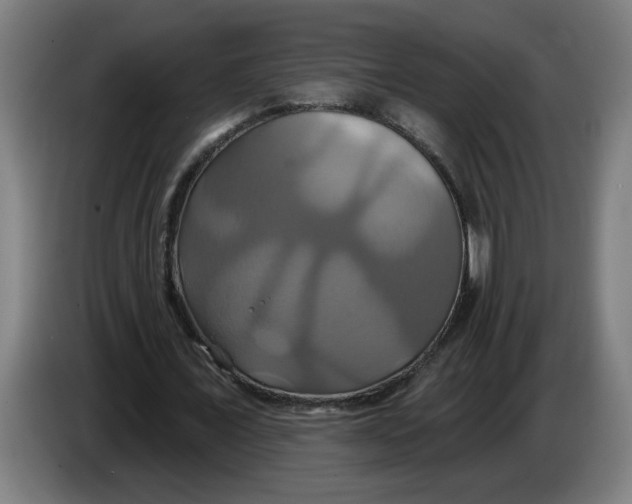 X0000086220675200704191739