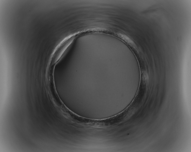 X0000086220676200704191739