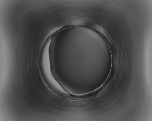 X0000086220677200704191739