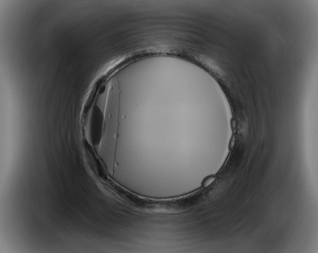 X0000086220678200704191739