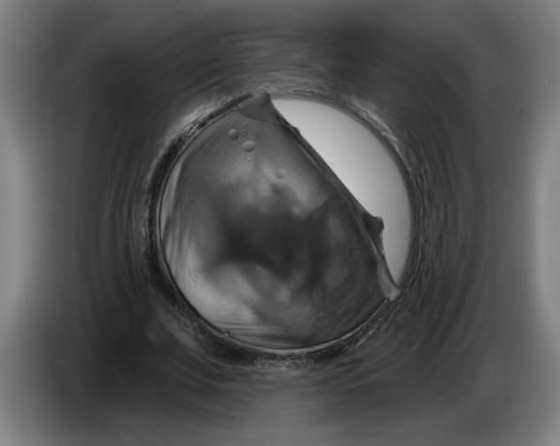 X0000086220679200704191739