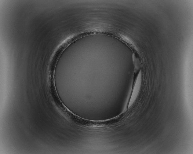 X0000086220680200704191739