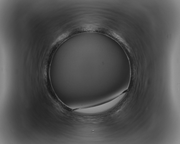 X0000086220681200704191739