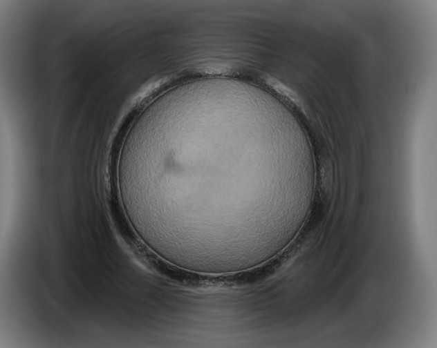 X0000086220682200704191739