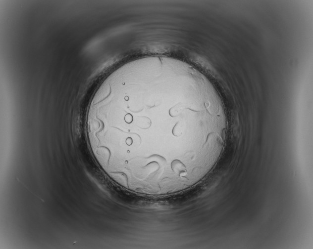 X0000086220683200704191739