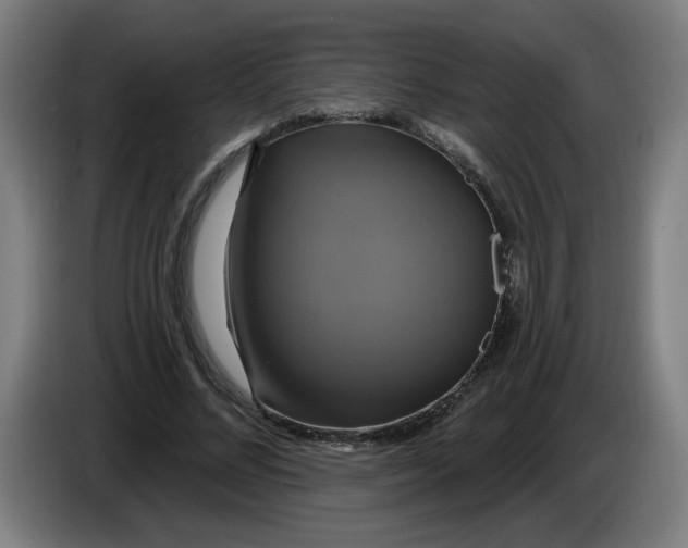 X0000086220684200704191739