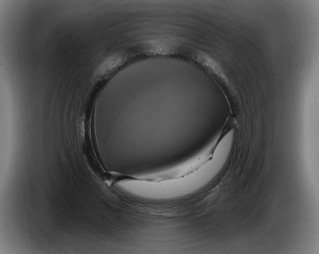 X0000086220685200704191739