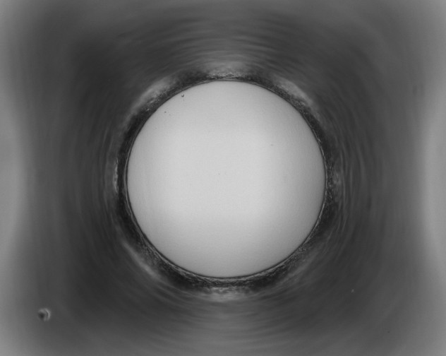 X0000086220686200704191739