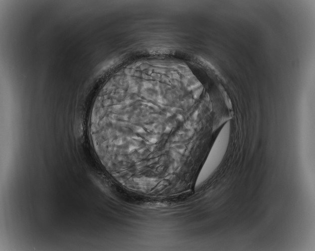 X0000086220687200704191739