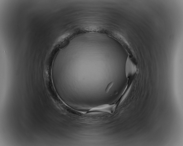 X0000086220688200704191739