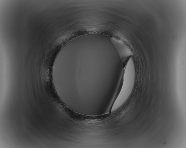 X0000086220689200704191739