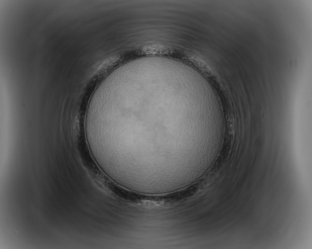 X0000086220690200704191739