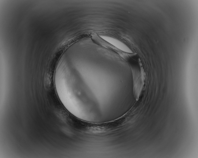 X0000086220691200704191739