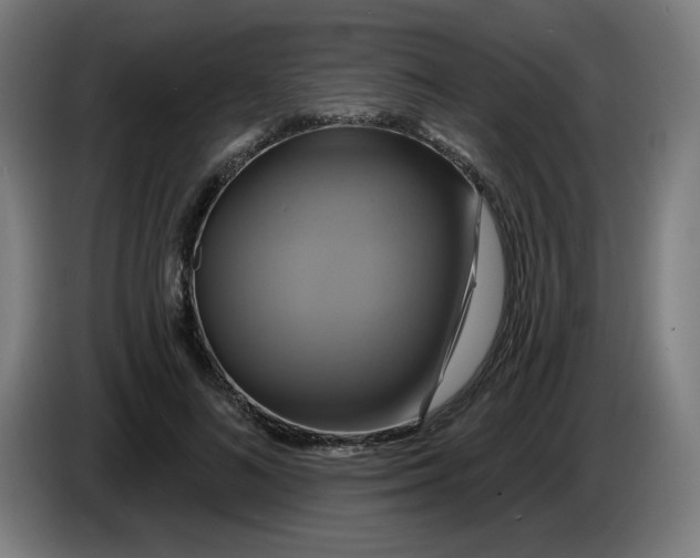 X0000086220692200704191739