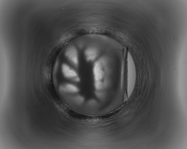 X0000086220695200704191739