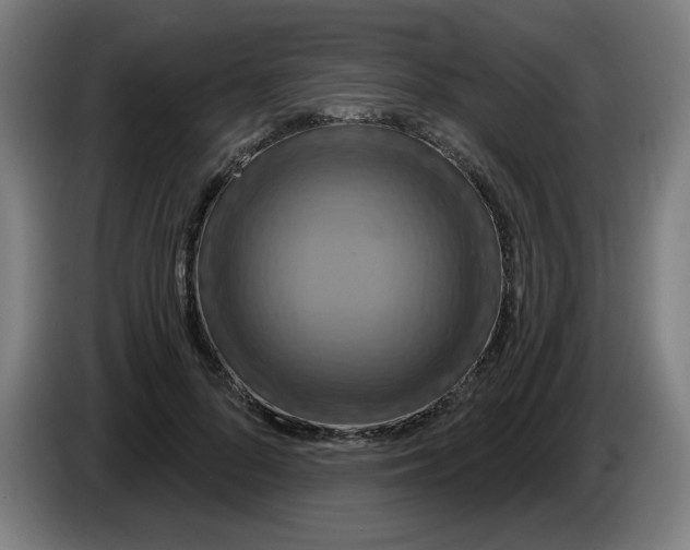 X0000086220696200704191739