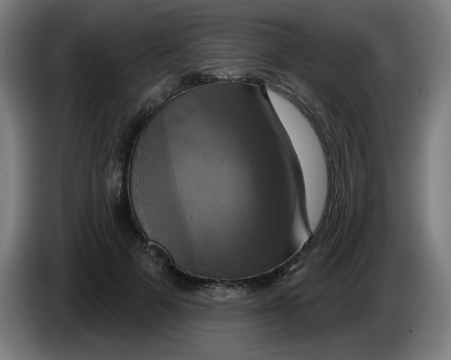 X0000086220697200704191739