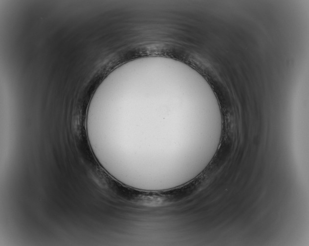 X0000086220698200704191739