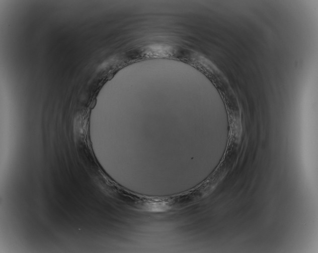 X0000086220701200704191738