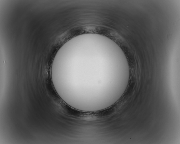 X0000086220702200704191738