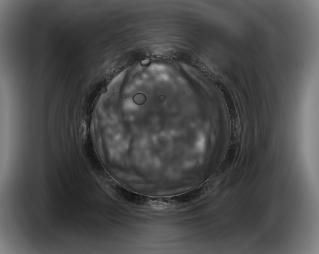 X0000086220703200704191738