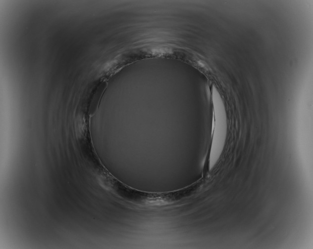 X0000086220704200704191738