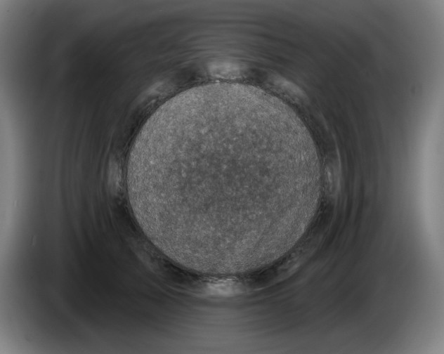 X0000086220705200704191738