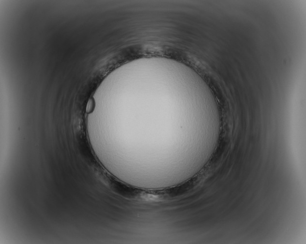 X0000086220706200704191738