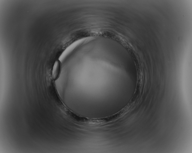 X0000086220707200704191738