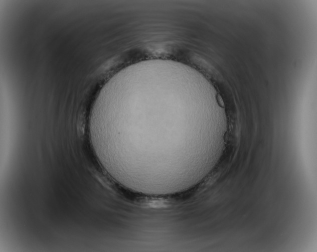 X0000086220710200704191738