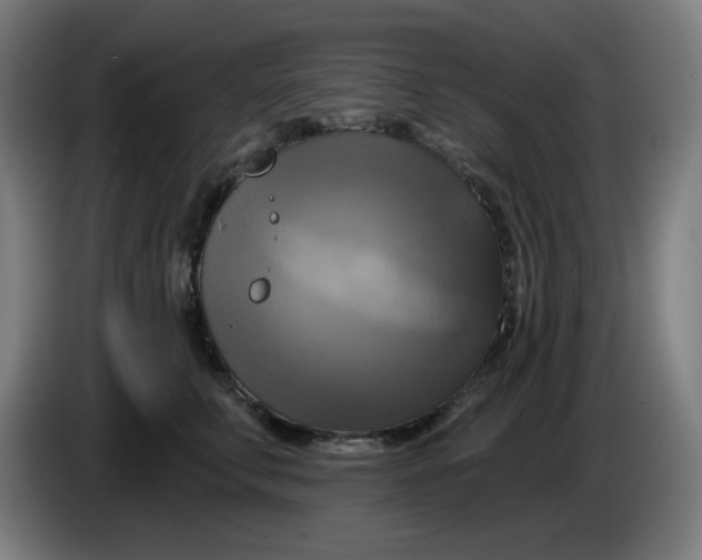 X0000086220711200704191738