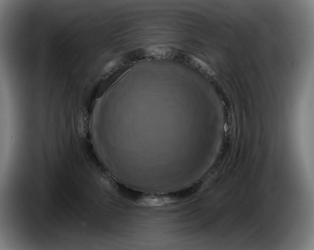 X0000086220712200704191738