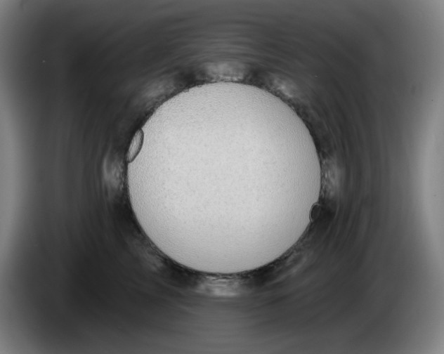 X0000086220713200704191738