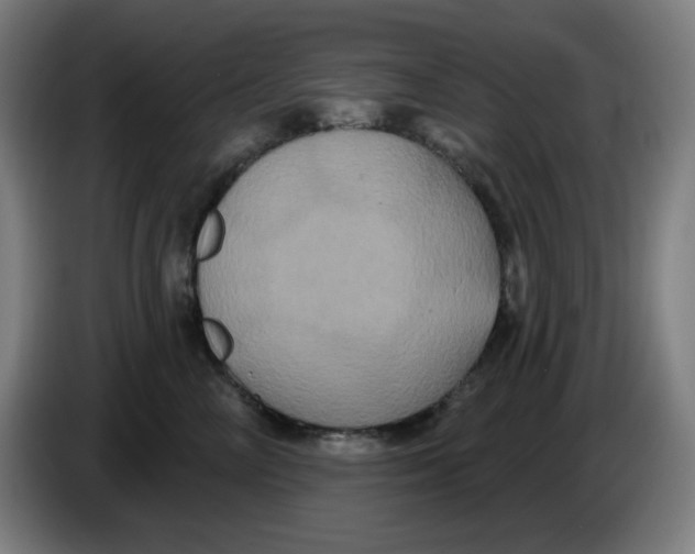 X0000086220714200704191738